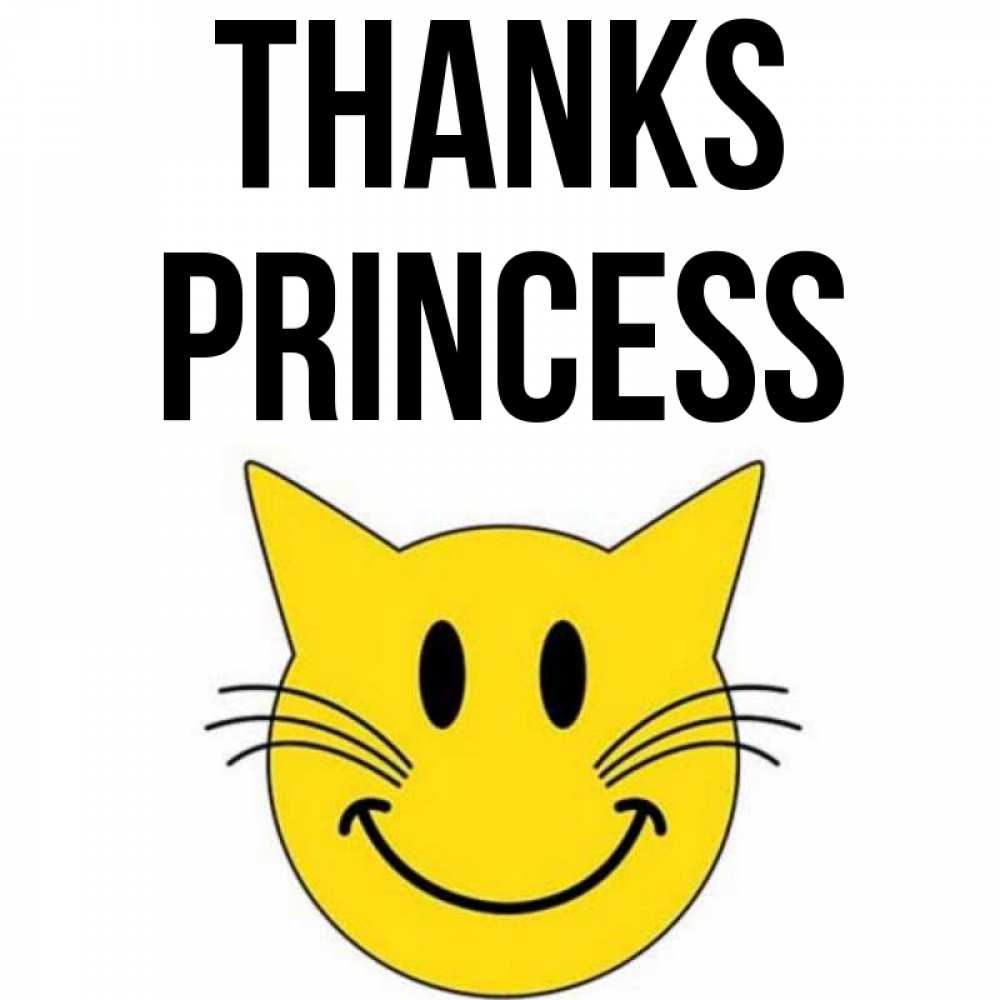 Greetings card с именем, Princess Thanks улыбающийся смайл кот Greetings with text for free download 