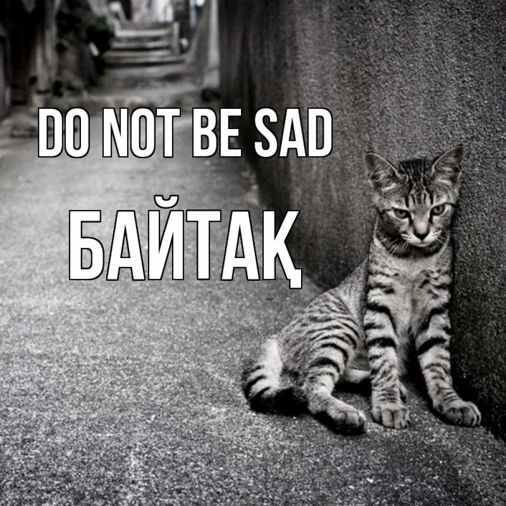 Greetings card с именем, Байтақ Do not be sad скучающий котик Greetings with text for free download 