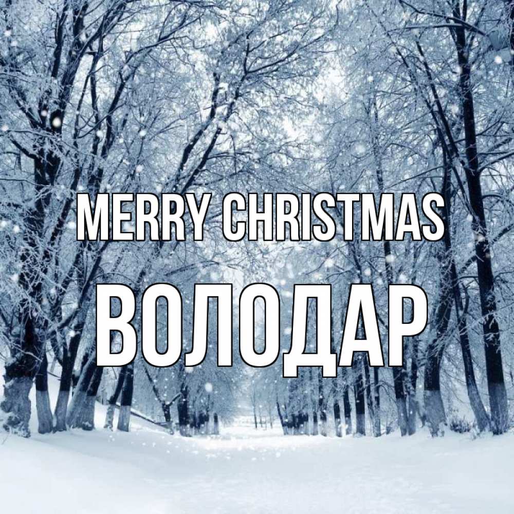 Greetings card с именем, Володар Merry Christmas снег, лес, парк Greetings with text for free download 