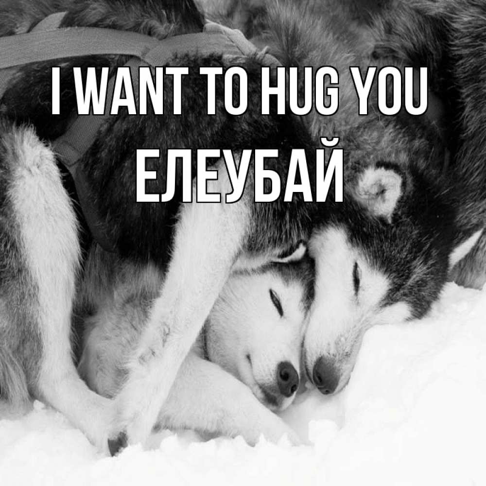 Greetings card с именем, Елеубай I want to hug you собачки в упряжке Greetings with text for free download 