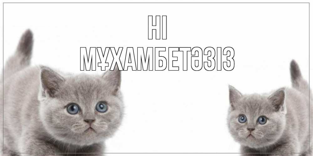 Greetings card с именем, МҰХАМБЕТӘЗІЗ Hi коты Greetings with text for free download 