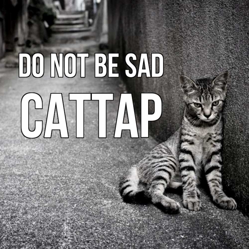 Greetings card с именем, САТТАР Do not be sad скучающий котик Greetings with text for free download 