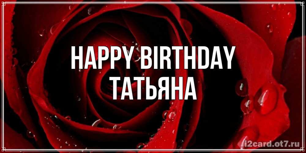 Greetings card с именем, Татьяна Happy Birthday крупная бордовая роза Greetings with text for free download 