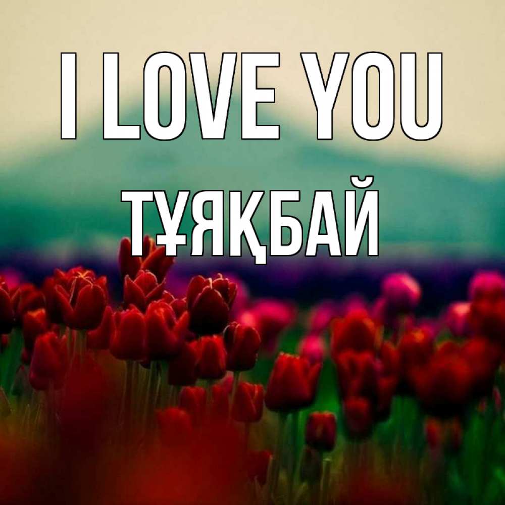 Greetings card с именем, ТҰЯҚБАЙ I love you тюльпаны 4 Greetings with text for free download 