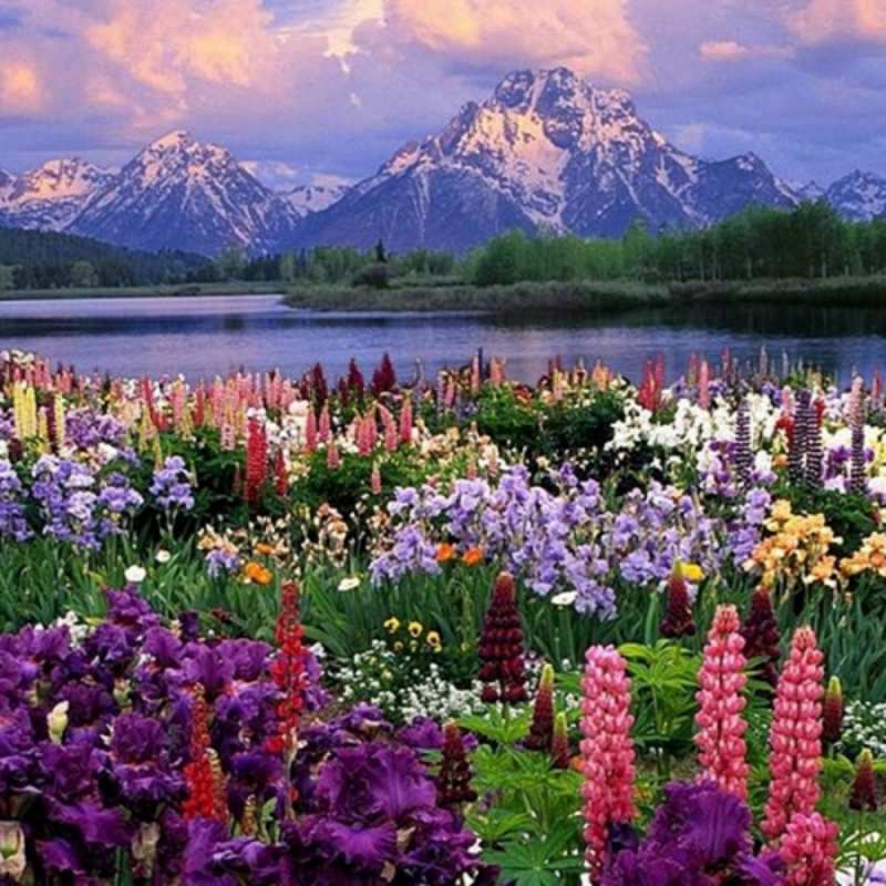 Открытка горные цветы  международный женский день  happy women`s day 