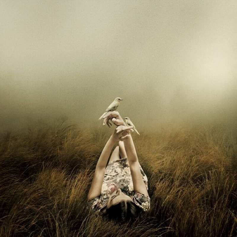 Открытка девушка лежит с птицами  поле и туман  Do not be sad 