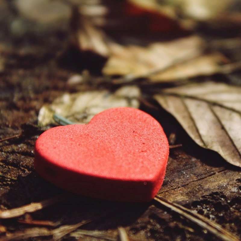 Открытка сердце 4 листья деревье 4 I love you 