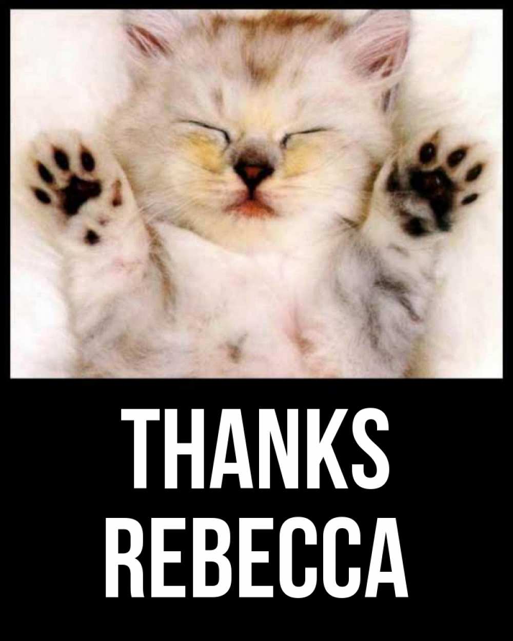 Greetings card с именем, Rebecca Thanks маленький котенок Greetings with text for free download 