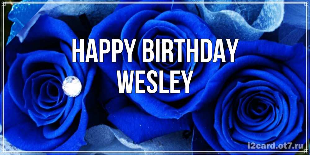Greetings card с именем, Wesley Happy Birthday синие розы в росе Greetings with text for free download 