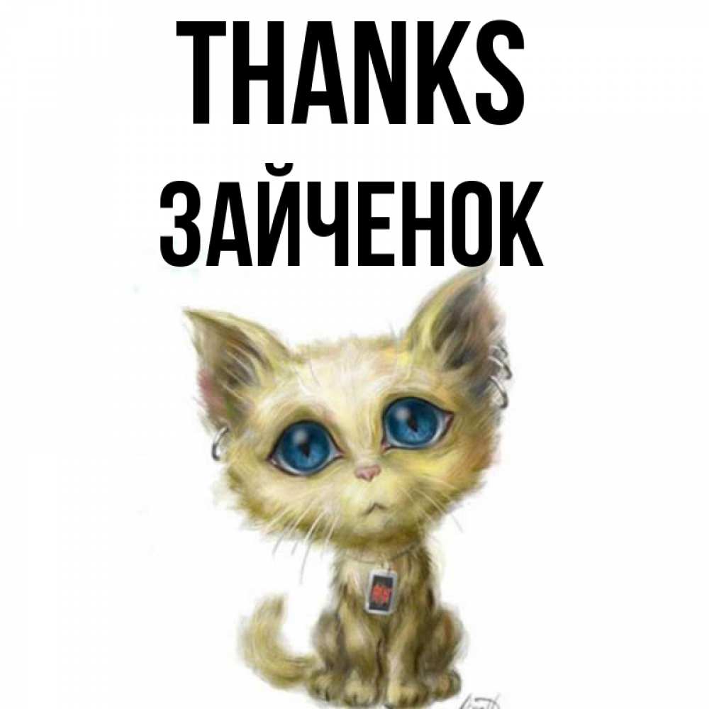 Greetings card с именем, Зайченок Thanks рисованный кот благодарит вас Greetings with text for free download 