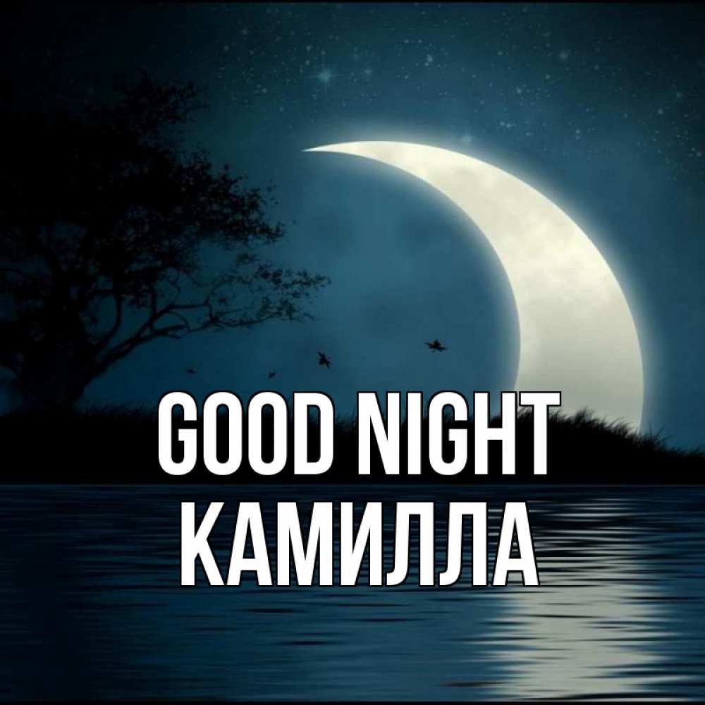 Greetings card с именем, Камилла Good night вода Greetings with text for free download 