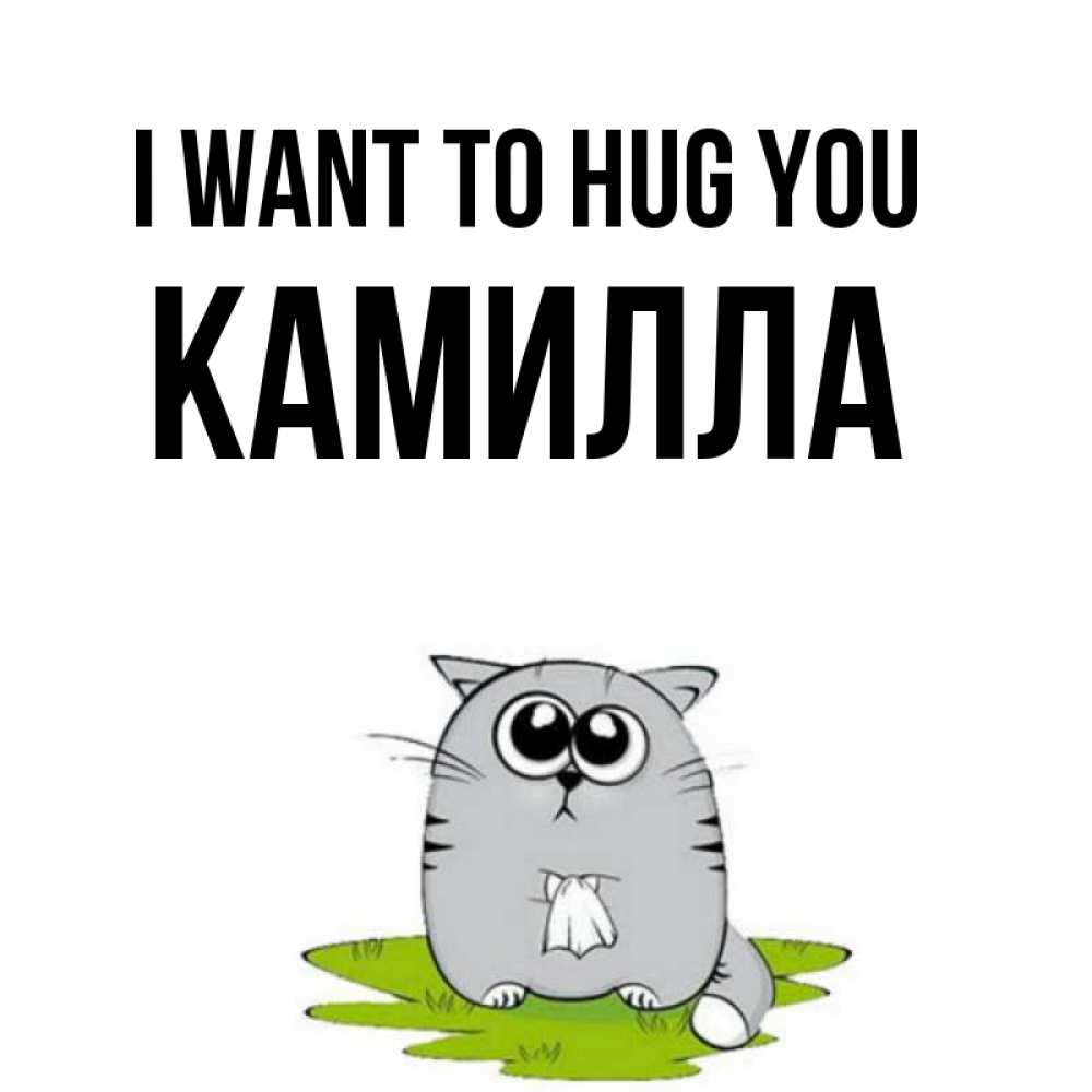 Greetings card с именем, Камилла I want to hug you котик теребит платочек сидя на травке Greetings with text for free download 