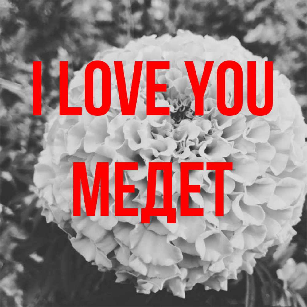 Greetings card с именем, МЕДЕТ I love you подпись Greetings with text for free download 