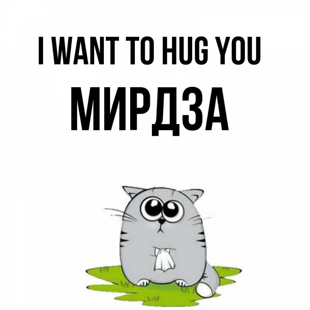 Greetings card с именем, Мирдза I want to hug you котик теребит платочек сидя на травке Greetings with text for free download 