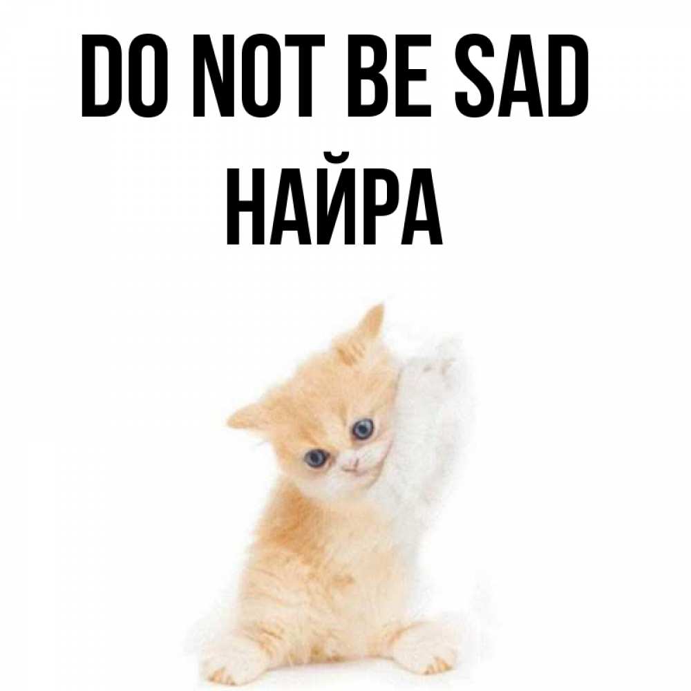 Greetings card с именем, НАЙРА Do not be sad просящий кот Greetings with text for free download 