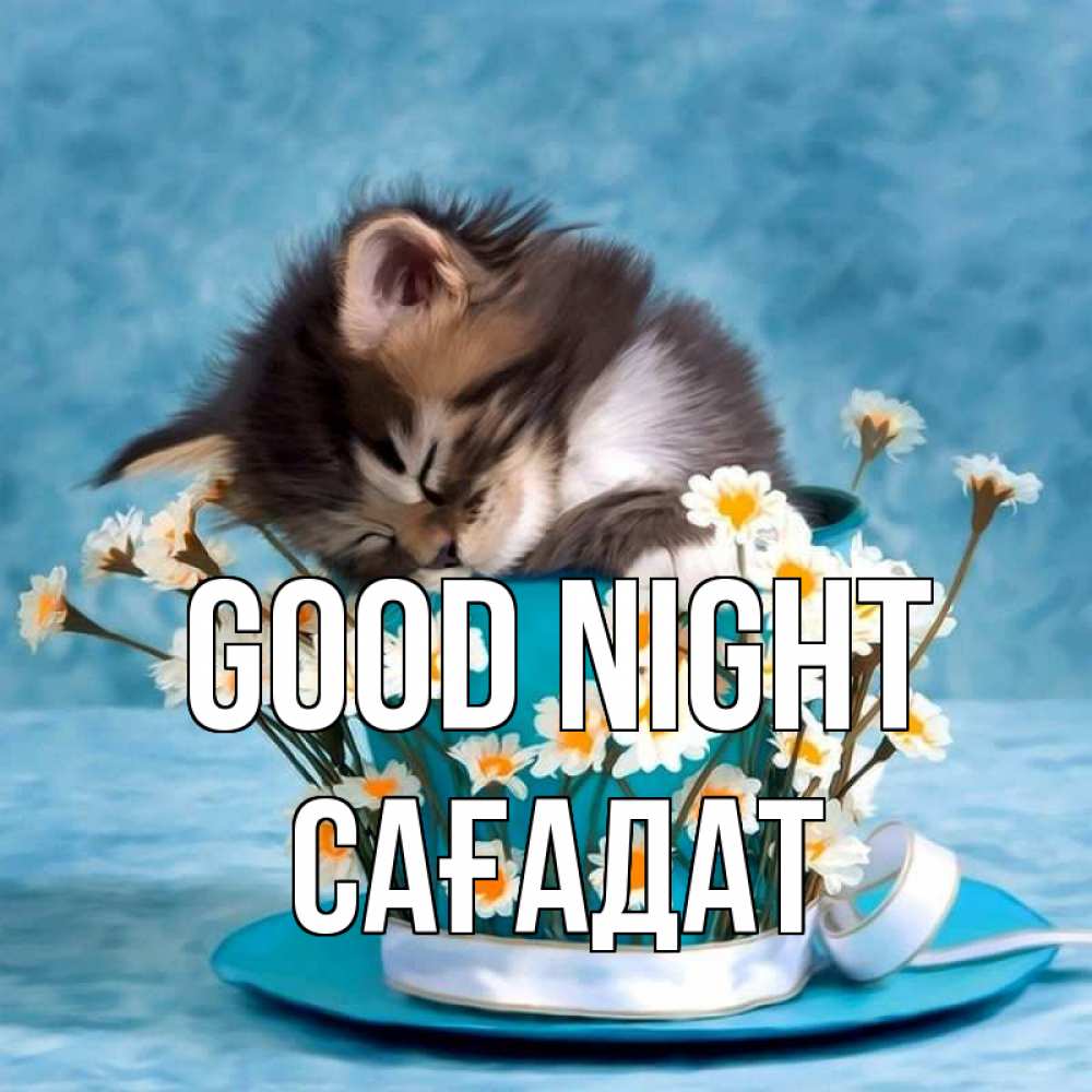 Greetings card с именем, САҒАДАТ Good night котенок спит в кружке с блюдцем Greetings with text for free download 