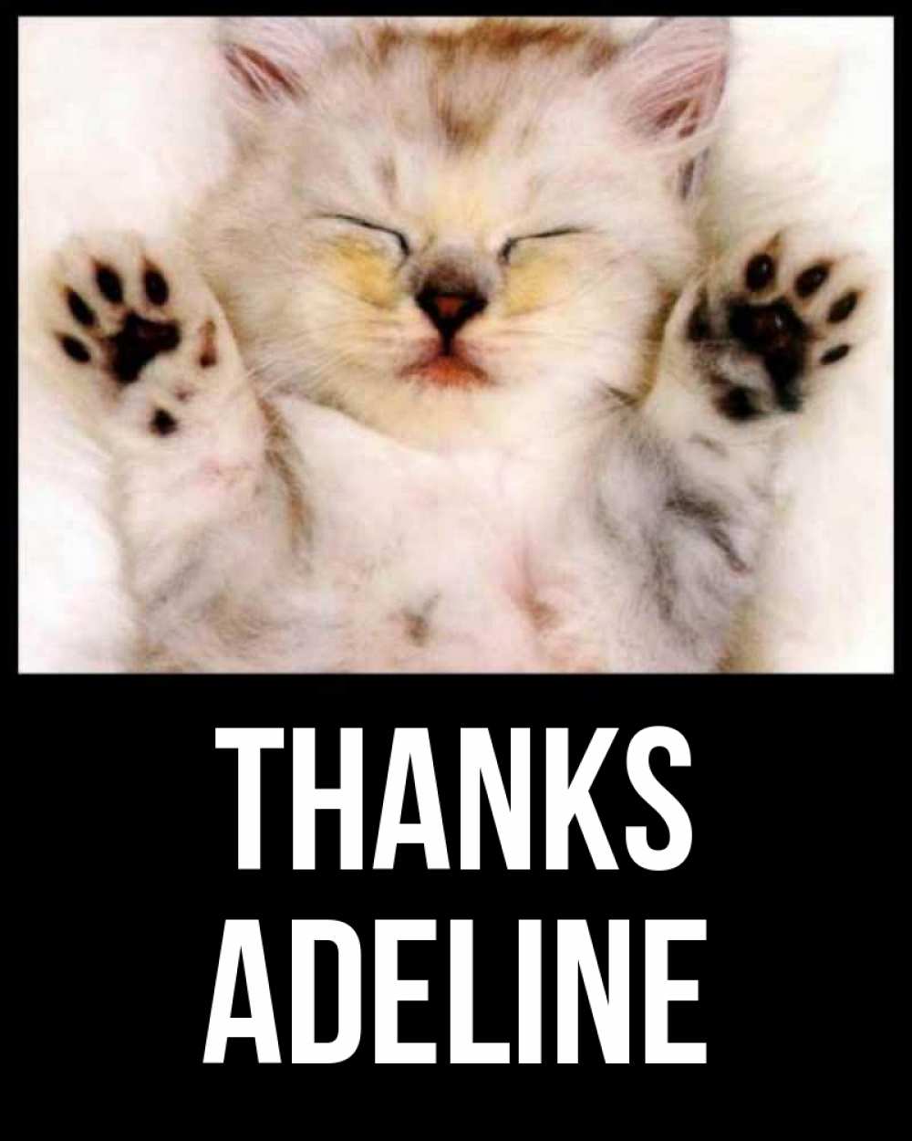 Greetings card с именем, Adeline Thanks маленький котенок Greetings with text for free download 