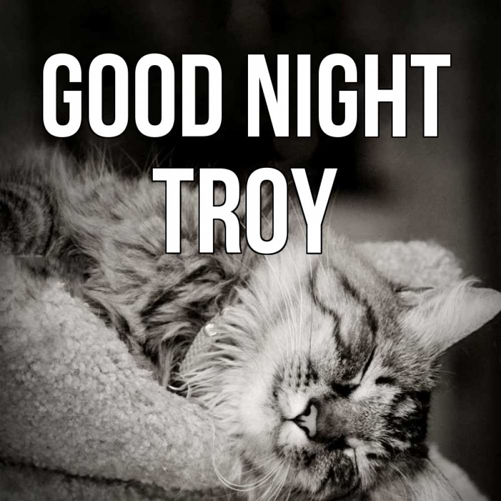 Greetings card с именем, Troy Good night котярик пушистый Greetings with text for free download 