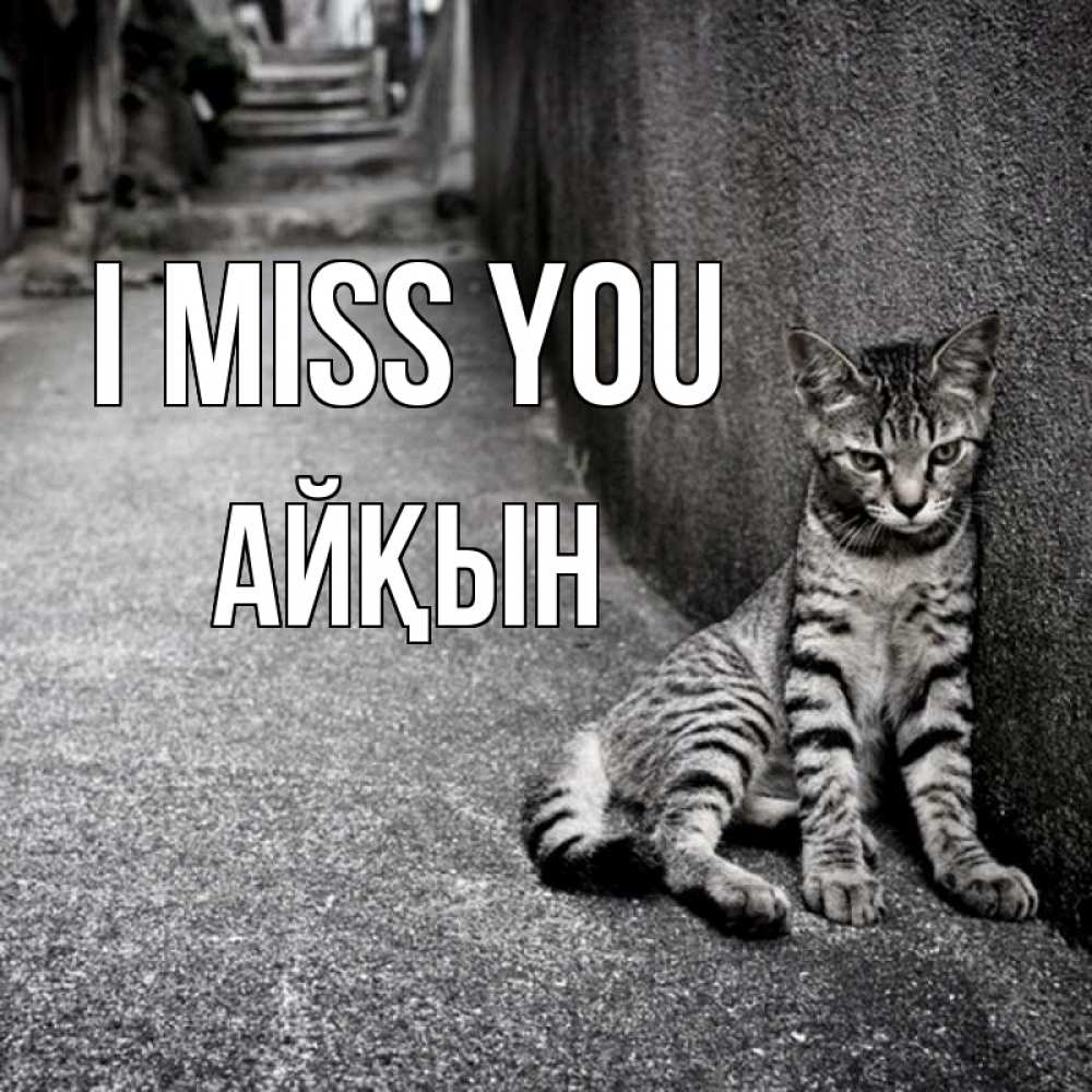 Greetings card с именем, Айқын I miss you одиноко котику Greetings with text for free download 