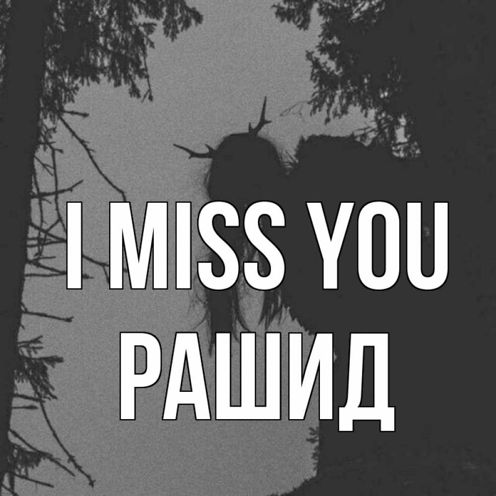 Greetings card с именем, Рашид I miss you пугаю Greetings with text for free download 