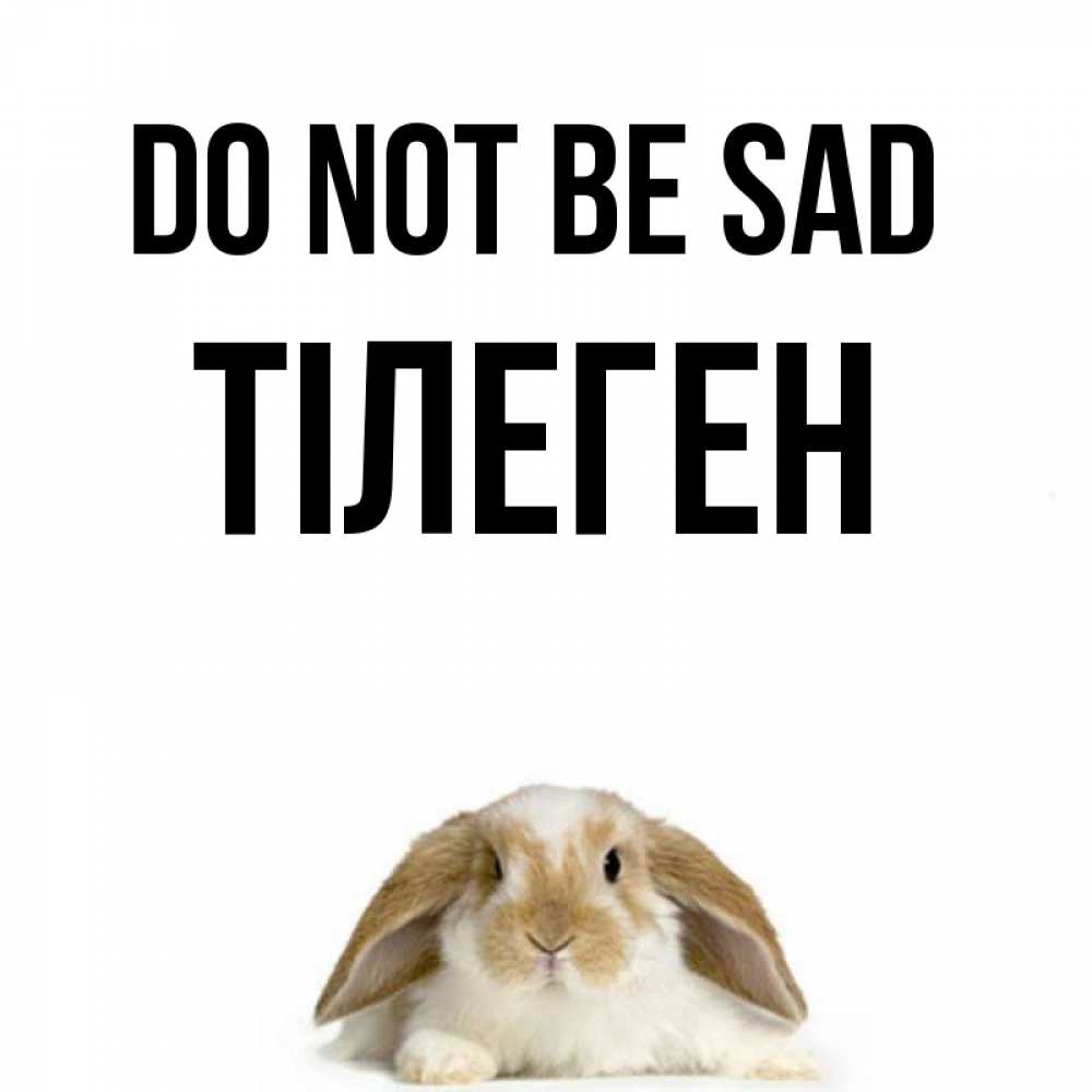 Greetings card с именем, ТІЛЕГЕН Do not be sad коричнево белый заяц с большими ушками Greetings with text for free download 