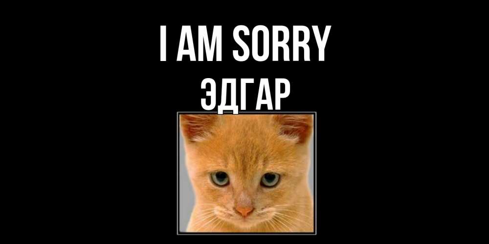Greetings card с именем, Эдгар I am sorry рыжий грустный кот просит прощения Greetings with text for free download 