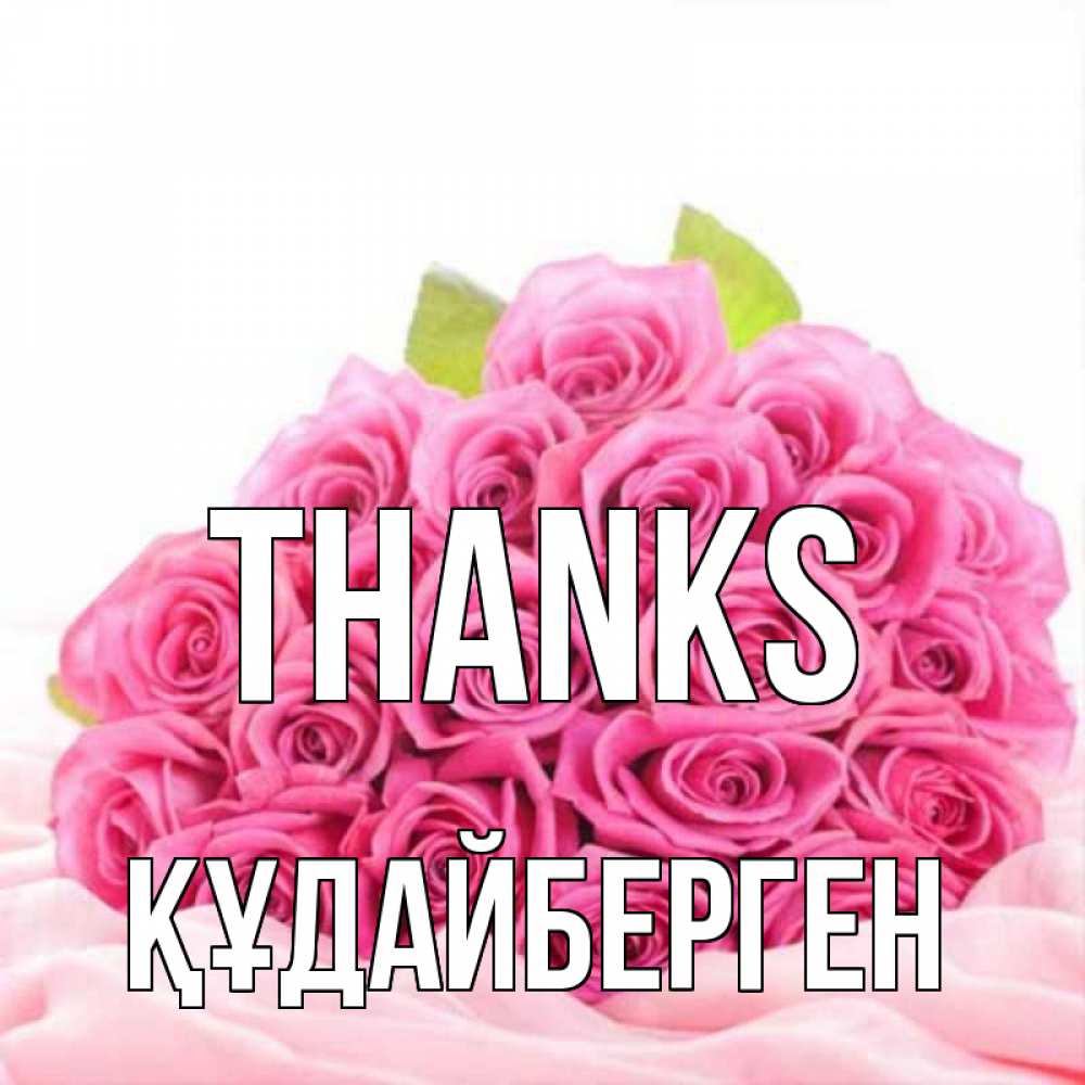 Greetings card с именем, ҚҰДАЙБЕРГЕН Thanks розовые розы с подписью Greetings with text for free download 