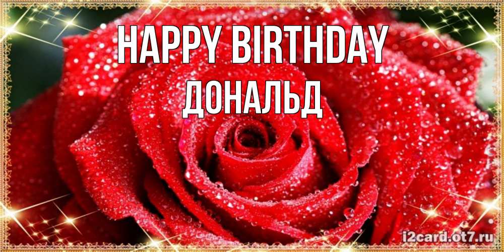 Greetings card с именем, Дональд Happy Birthday роса и роза. открытка с красивой розой Greetings with text for free download 