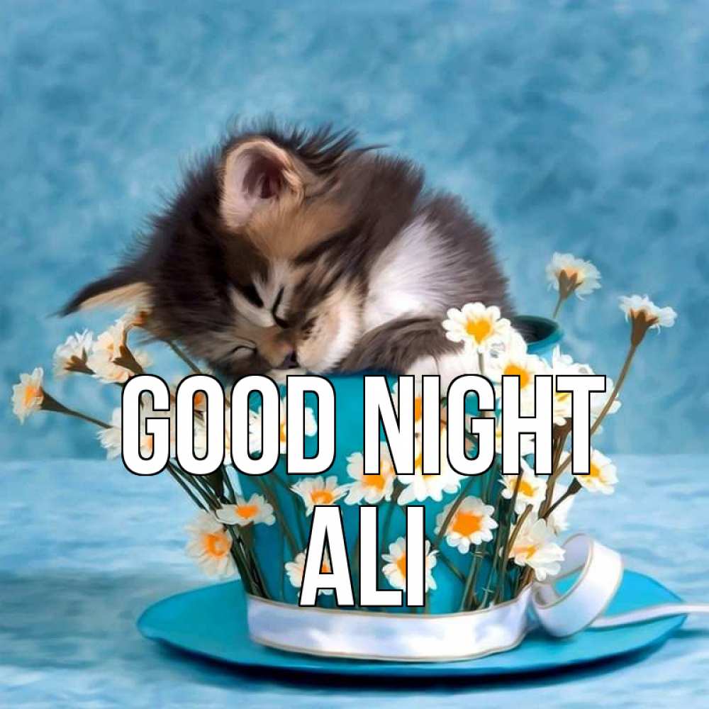 Greetings card с именем, Ali Good night котенок спит в кружке с блюдцем Greetings with text for free download 