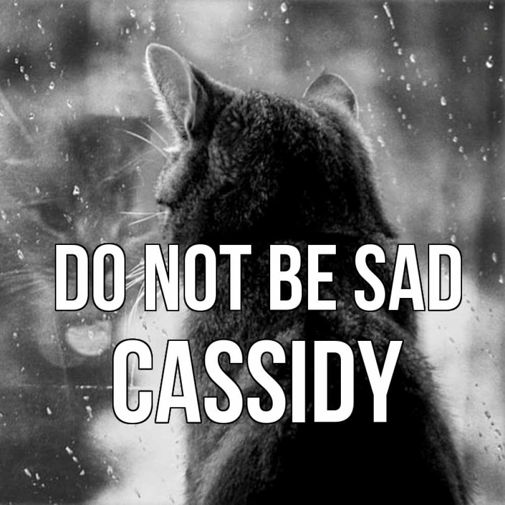 Greetings card с именем, Cassidy Do not be sad отражение кота 1 Greetings with text for free download 