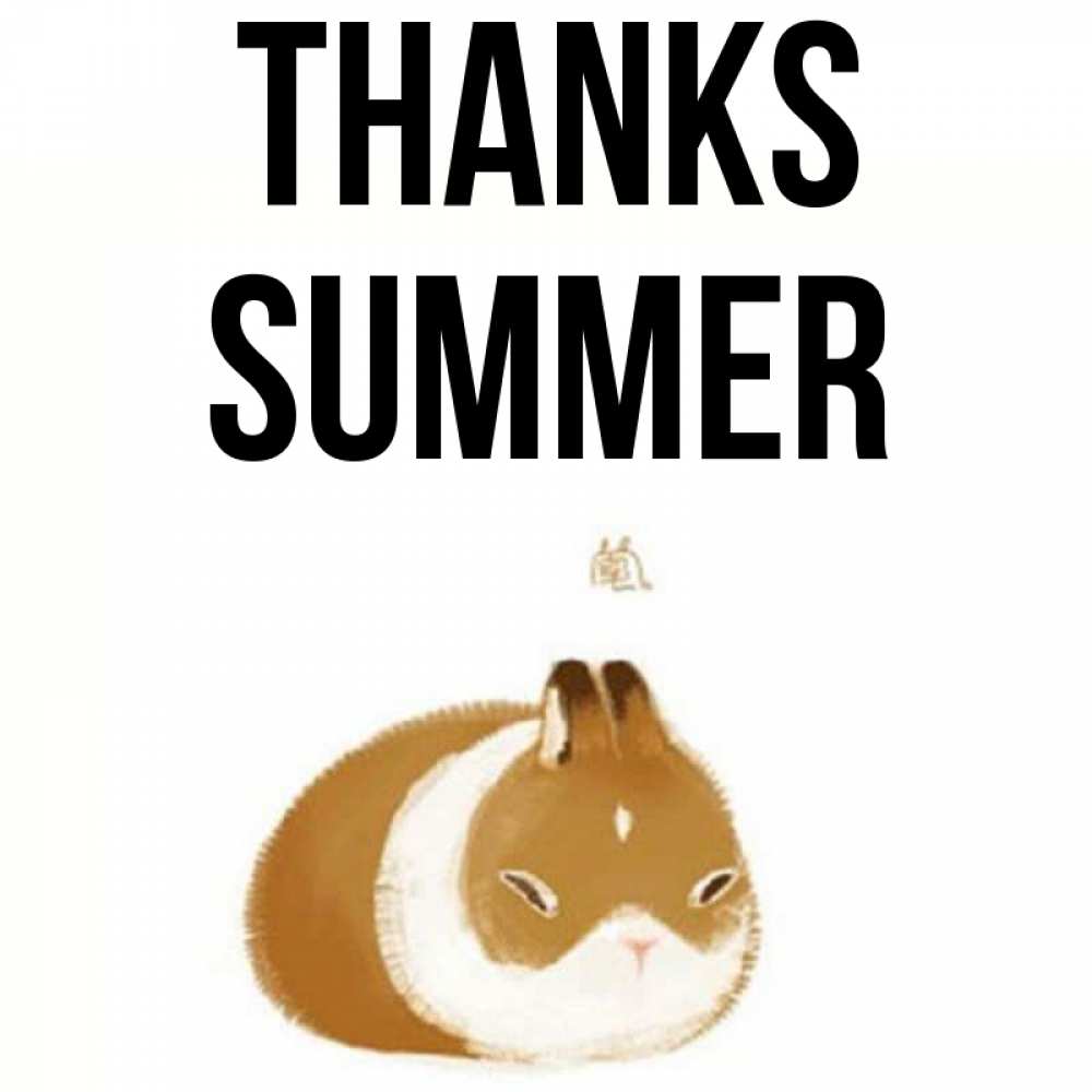 Greetings card с именем, Summer Thanks коричнево белый домашний питомец Greetings with text for free download 