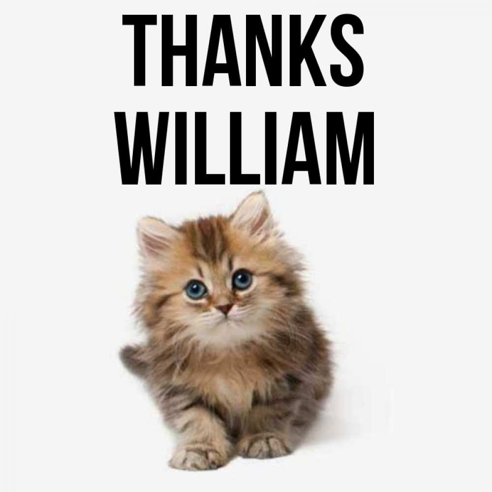 Greetings card с именем, William Thanks пушистый котик Greetings with text for free download 