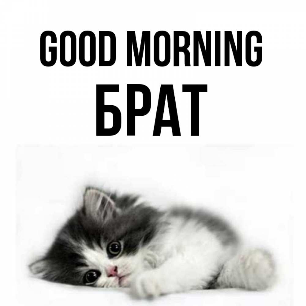 Greetings card с именем, Брат Good morning кот лапки Greetings with text for free download 