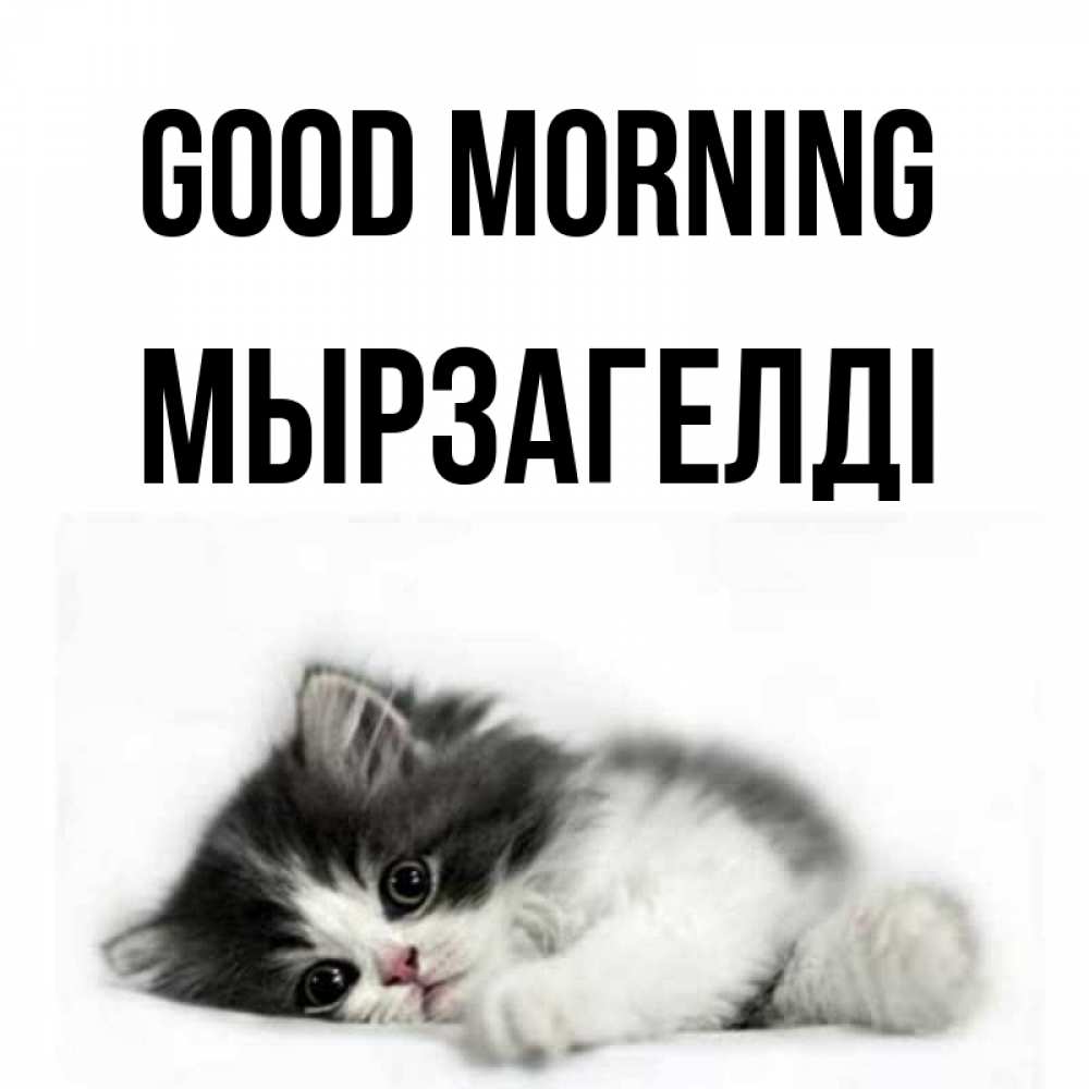 Greetings card с именем, Мырзагелді Good morning кот лапки Greetings with text for free download 