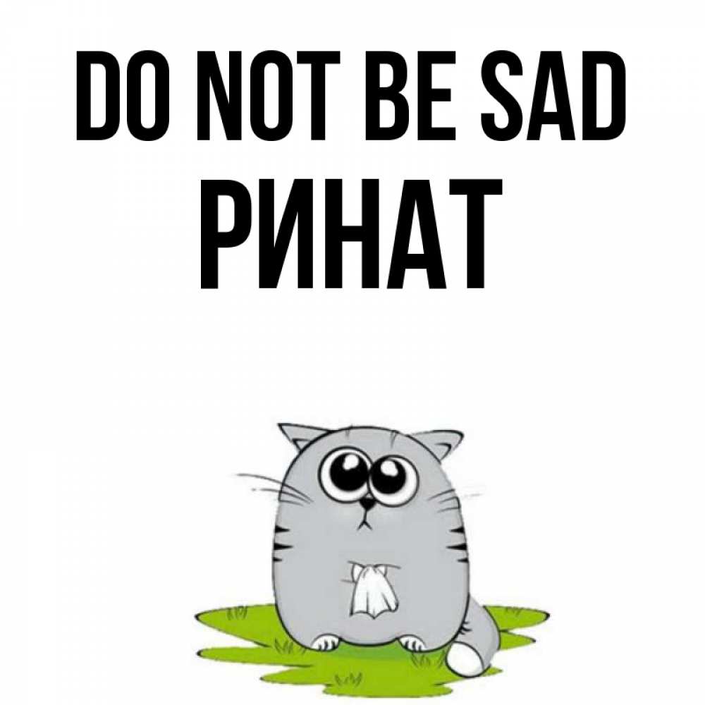 Greetings card с именем, Ринат Do not be sad грустный котяра Greetings with text for free download 