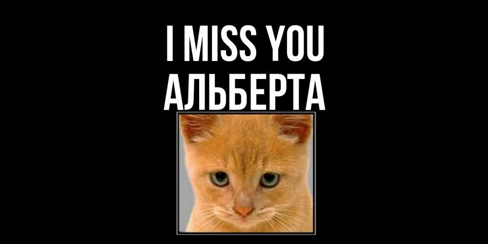 Greetings card с именем, Альберта I miss you открытки рыжий котенок скучает по тебе Greetings with text for free download 