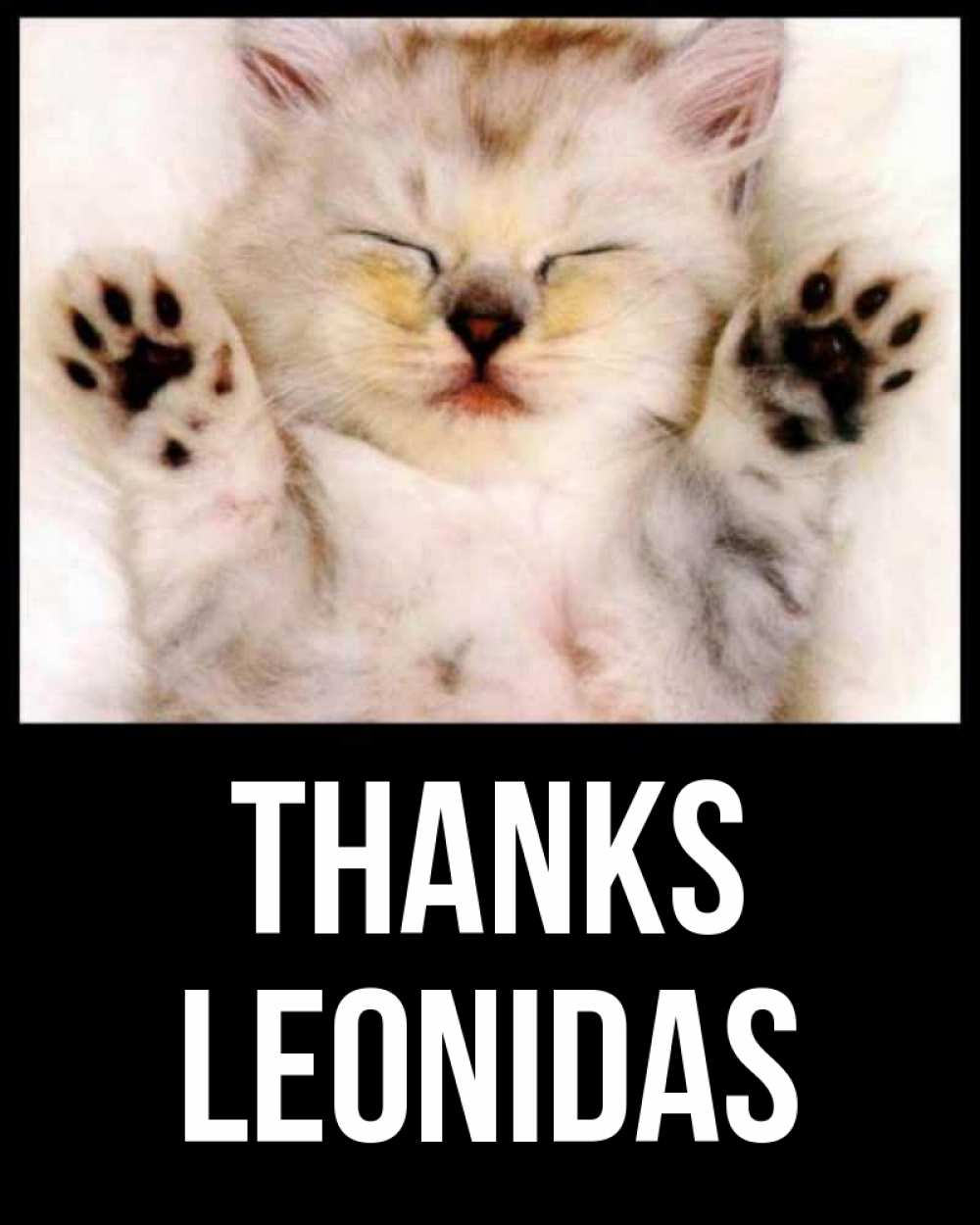 Greetings card с именем, Leonidas Thanks маленький котенок Greetings with text for free download 
