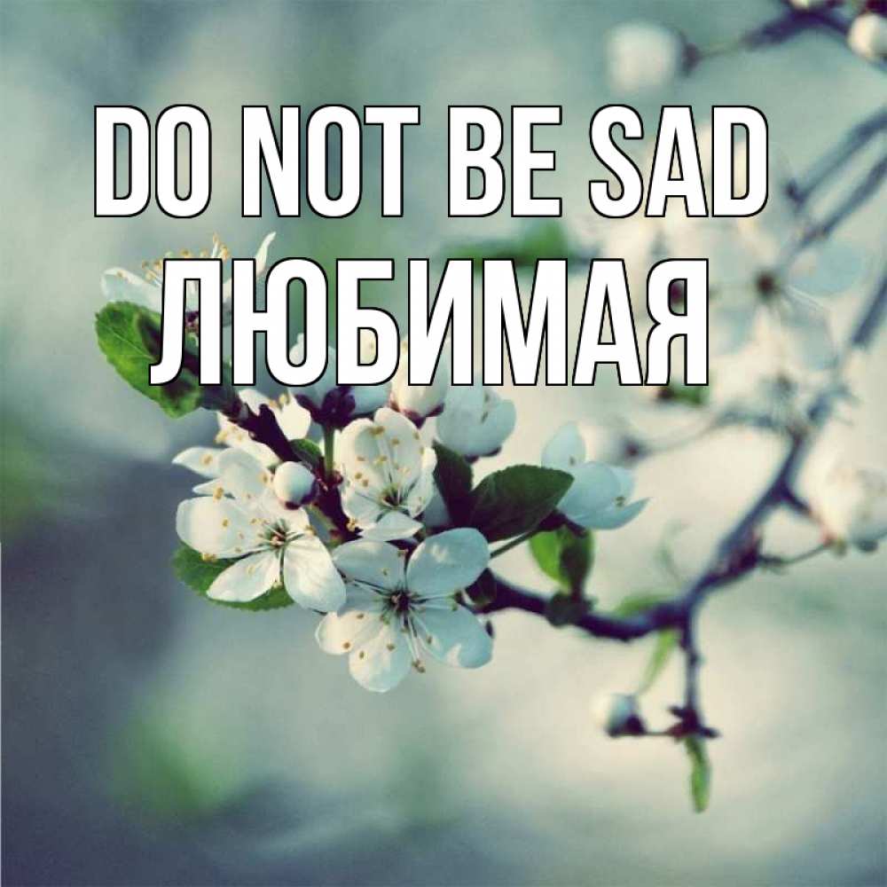 Greetings card с именем, Любимая Do not be sad яблоня в цвету 1 Greetings with text for free download 