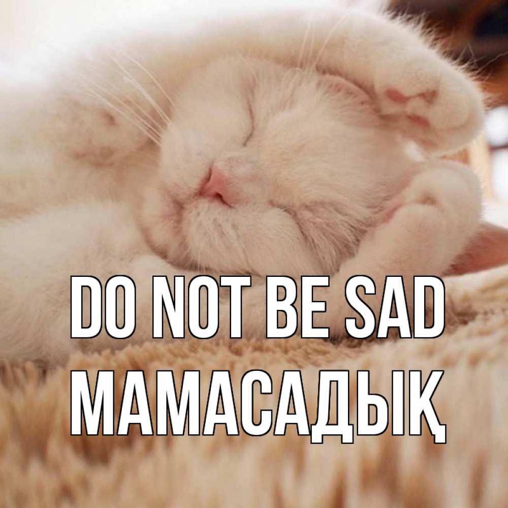 Greetings card с именем, МАМАСАДЫҚ Do not be sad белый кот Greetings with text for free download 