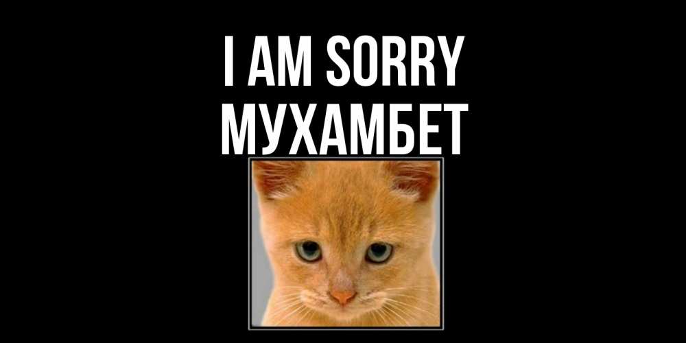 Greetings card с именем, МУХАМБЕТ I am sorry рыжий грустный кот просит прощения Greetings with text for free download 