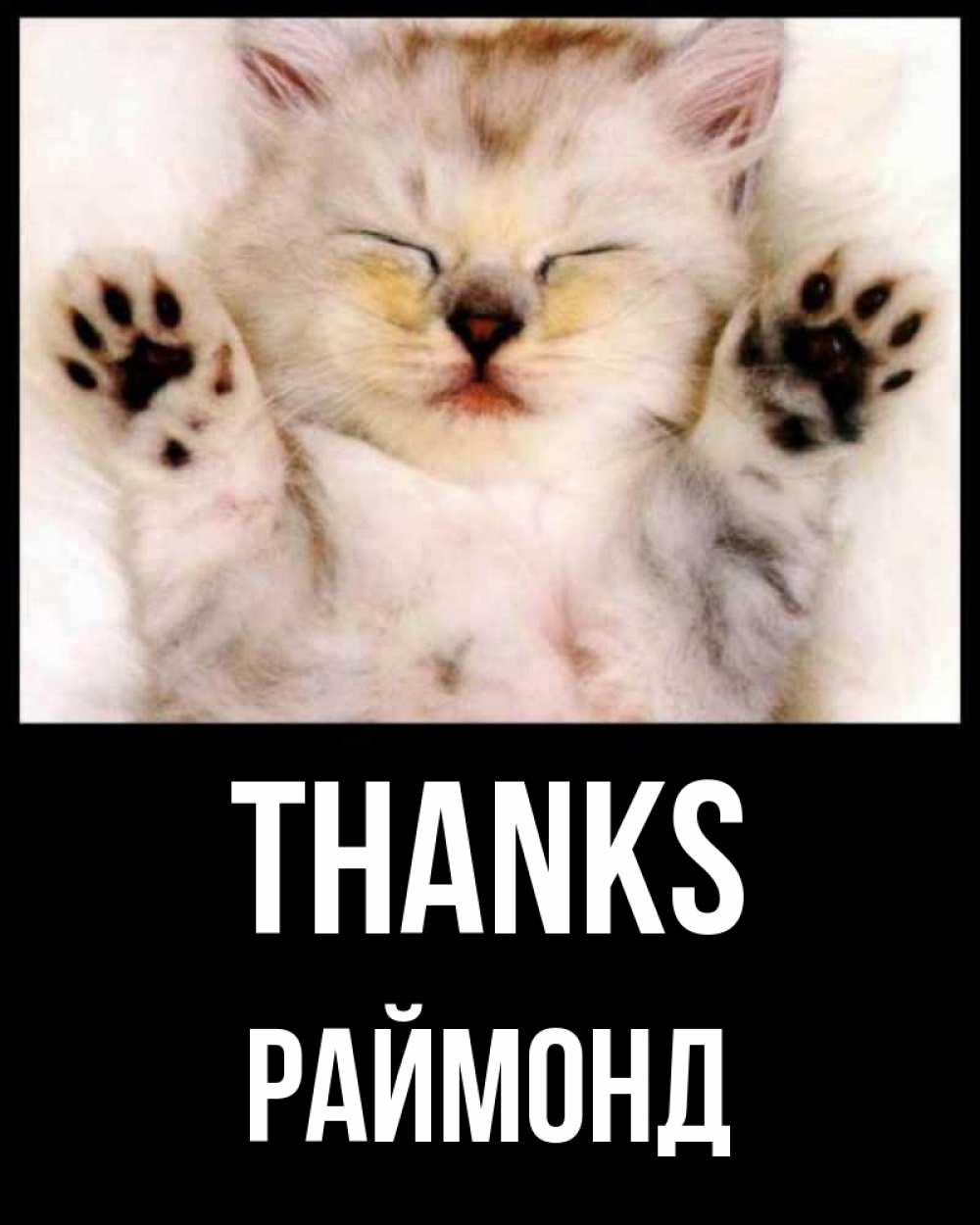 Greetings card с именем, Раймонд Thanks маленький котенок Greetings with text for free download 