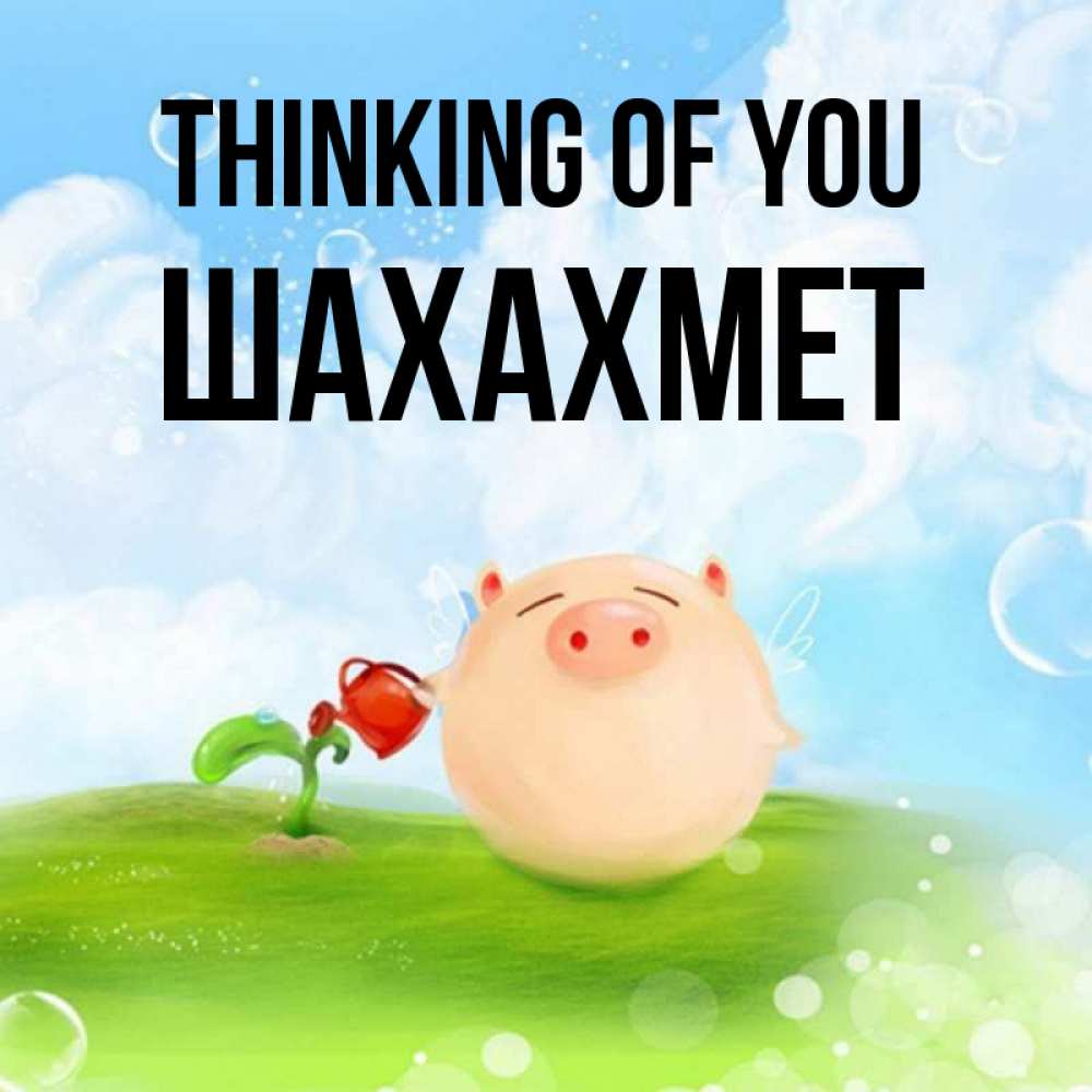 Greetings card с именем, ШАХАХМЕТ Thinking of you позитивная свинюшка Greetings with text for free download 