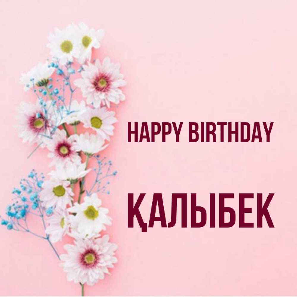 Greetings card с именем, Қалыбек Happy Birthday Родная моя с днем рождения тебя картинка с цветами белыми и голубыми Greetings with text for free download 