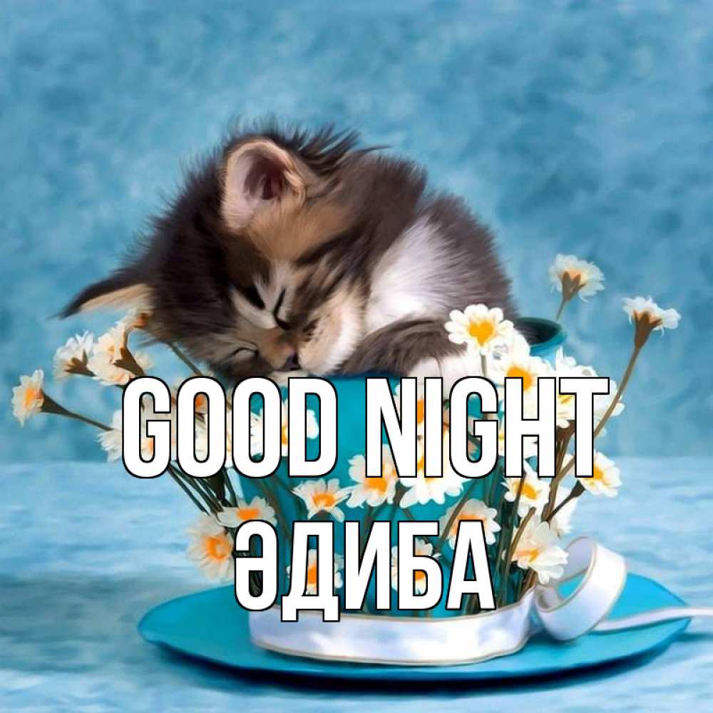 Greetings card с именем, ӘДИБА Good night котенок спит в кружке с блюдцем Greetings with text for free download 