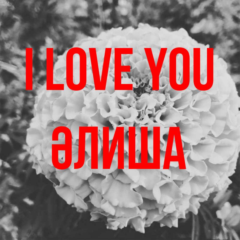 Greetings card с именем, ӘЛИША I love you подпись Greetings with text for free download 