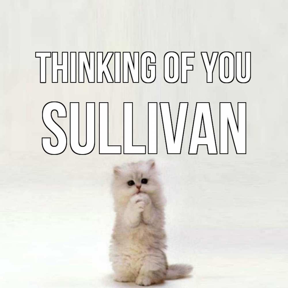 Greetings card с именем, Sullivan Thinking of you кот стоит на задних лапах Greetings with text for free download 