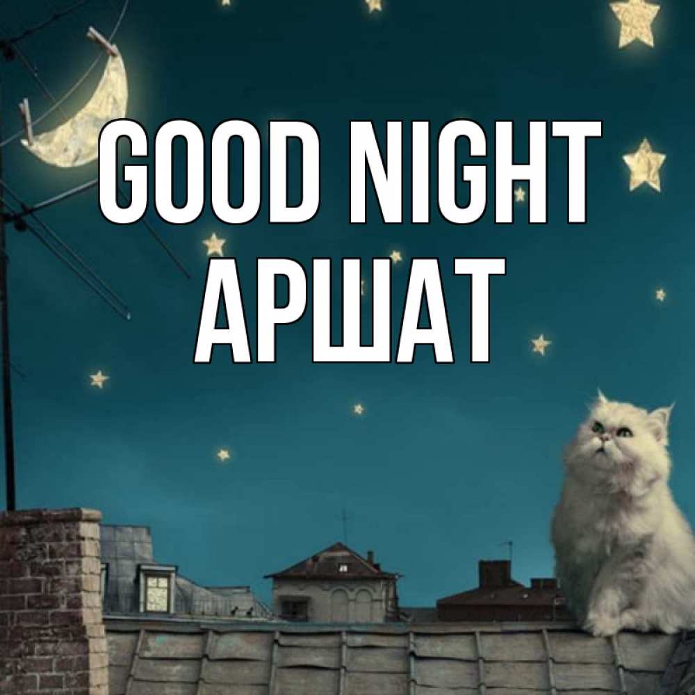 Greetings card с именем, АРШАТ Good night белый кот сидит на крыше Greetings with text for free download 