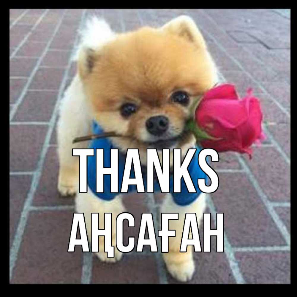 Greetings card с именем, Аңсаған Thanks спасибо и дарю тебе цветок Greetings with text for free download 