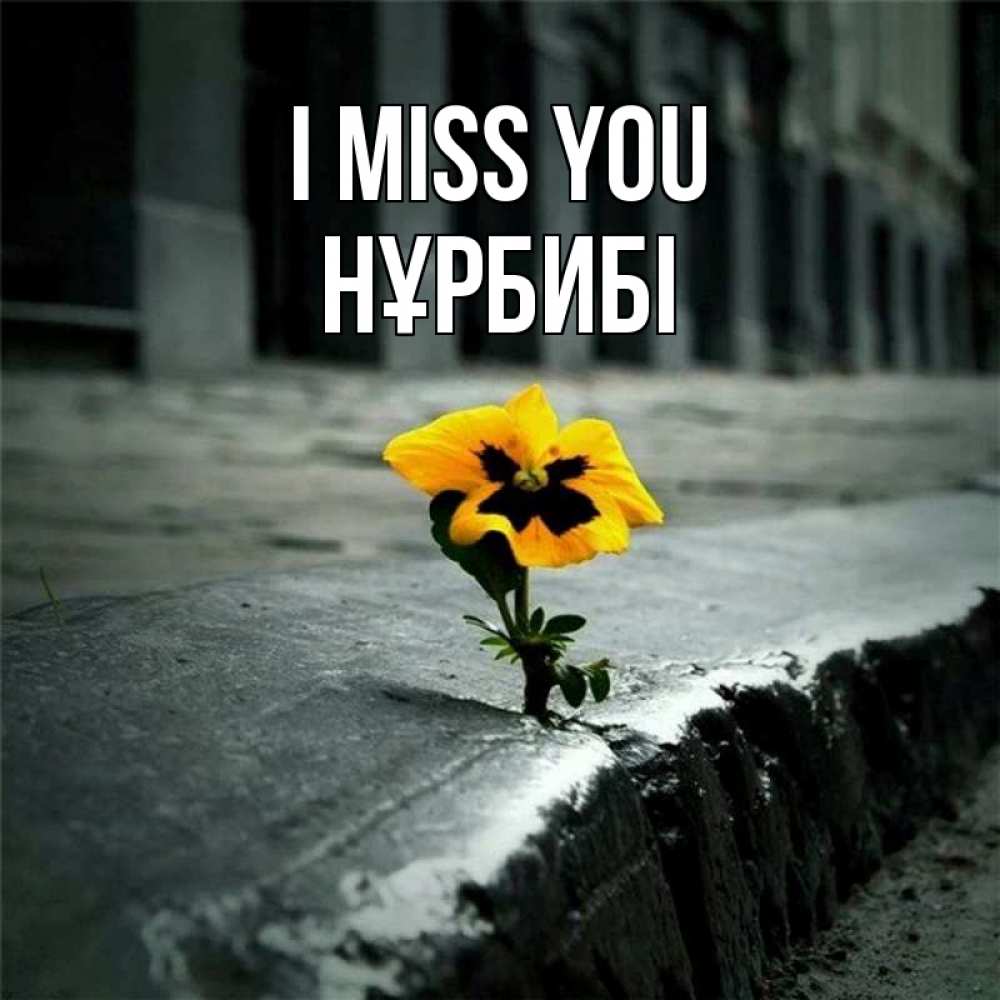 Greetings card с именем, НҰРБИБІ I miss you надеюсь будет лучше Greetings with text for free download 