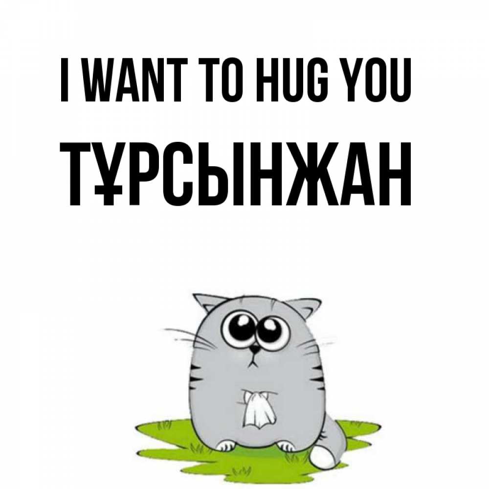 Greetings card с именем, ТҰРСЫНЖАН I want to hug you котик теребит платочек сидя на травке Greetings with text for free download 